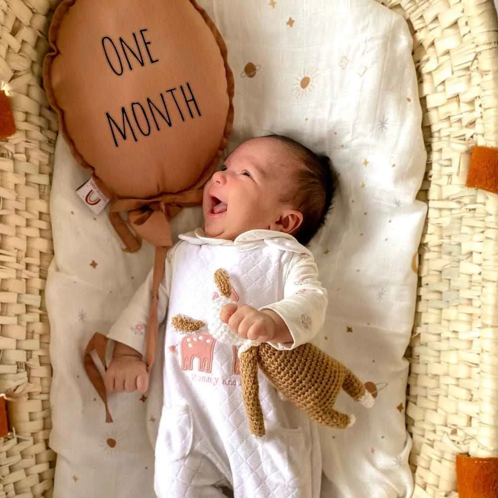 milestone photographer in asansol