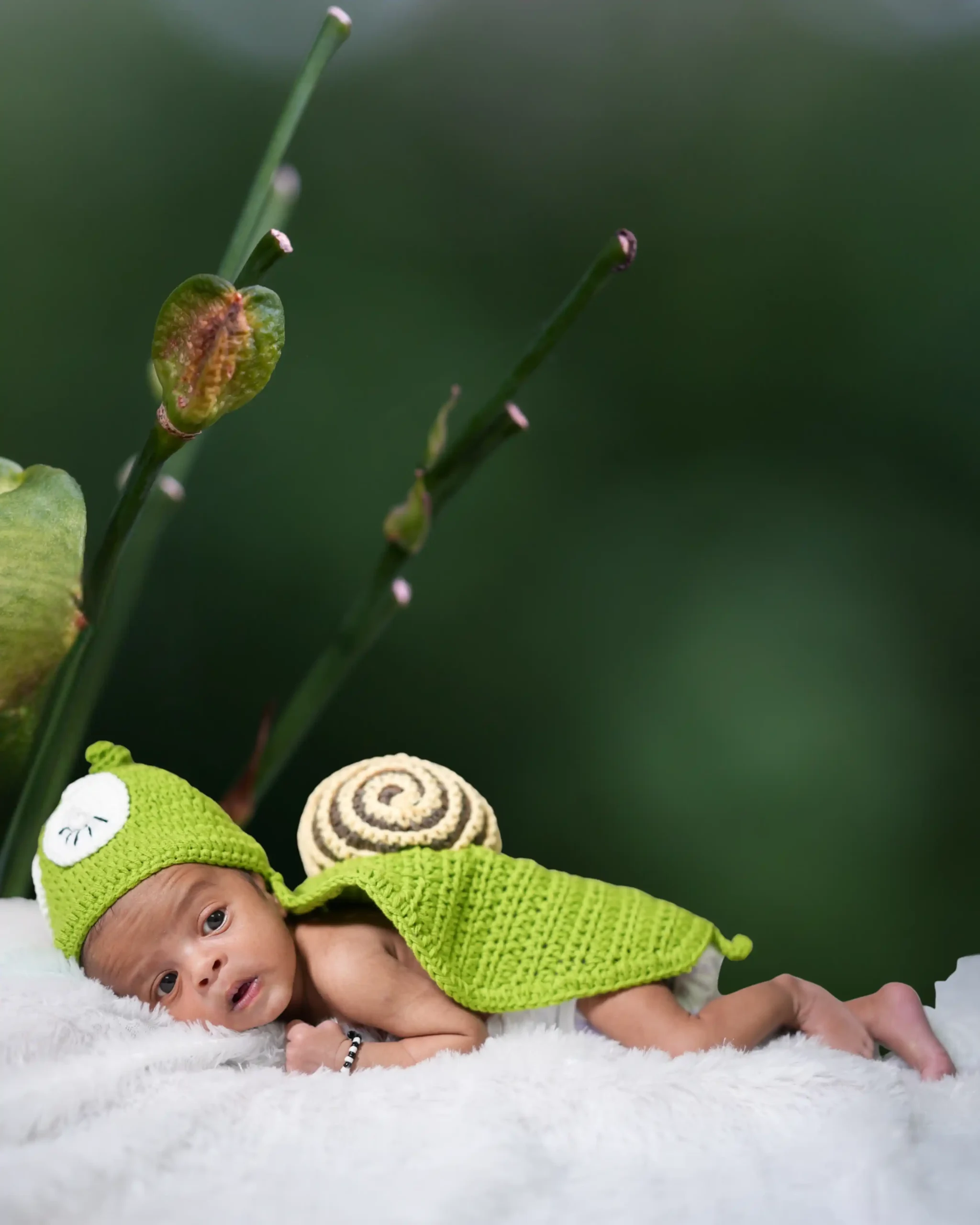 Cute baby snail theme setup – creative newborn baby photography
